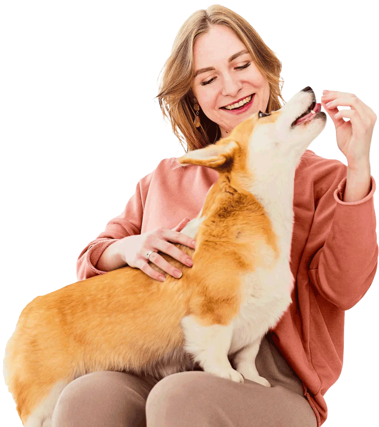 Clínica Veterinária Popular Nossa Senhora Aparecida